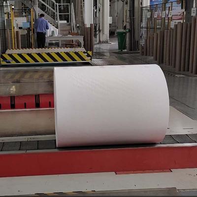Paper Roll Handle Transporter